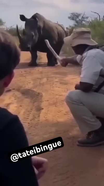 Guide imitates the marking of a territorial boundary
