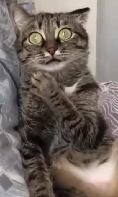 What did I just witness? ?