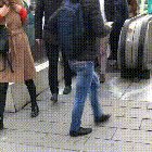Them: "Can you just explain cats in one gif?" Me: