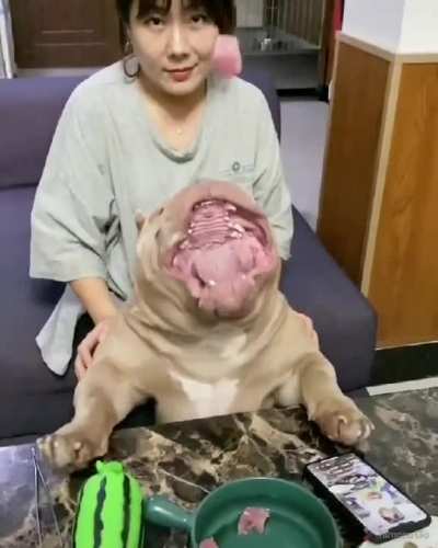 Maybe maybe Maybe