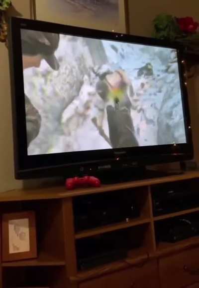 SwerveClips video S8lrkkCjRE
