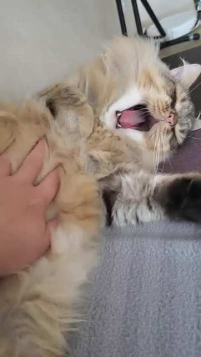 Nafantik: Sweet yawns ??