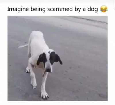 He knows the routine