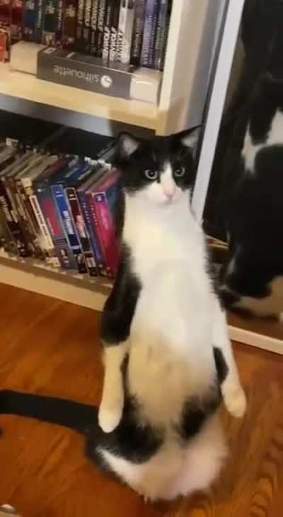 Wtf is that..?
