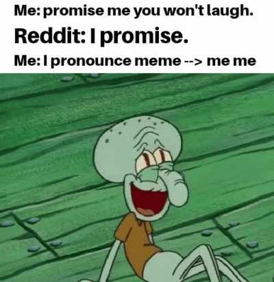 "Meems" brain say no good
