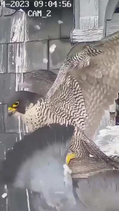 Maybe maybe maybe