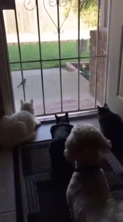 Surprise!!!