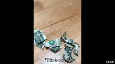 "Now I have 5"
