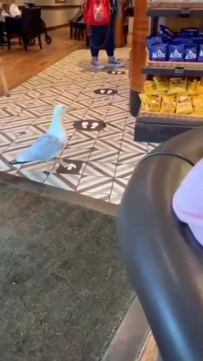 He knows it’s wrong ?