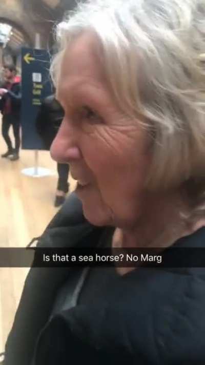 Age gets the best of us all