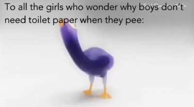 Wonder no more