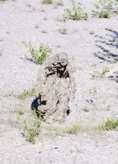 This guys camouflage.
