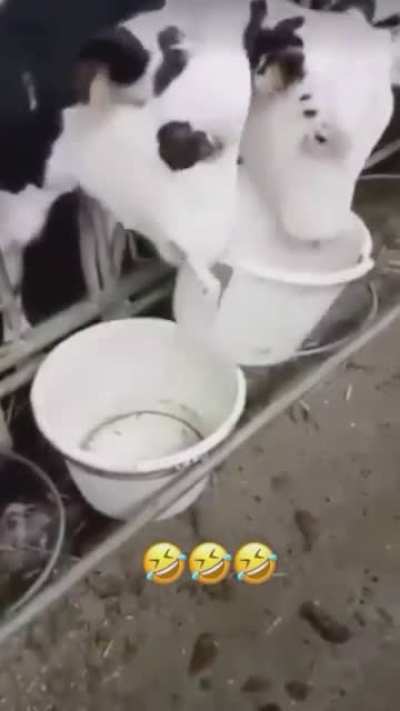 unfair life