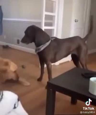What is this move called?