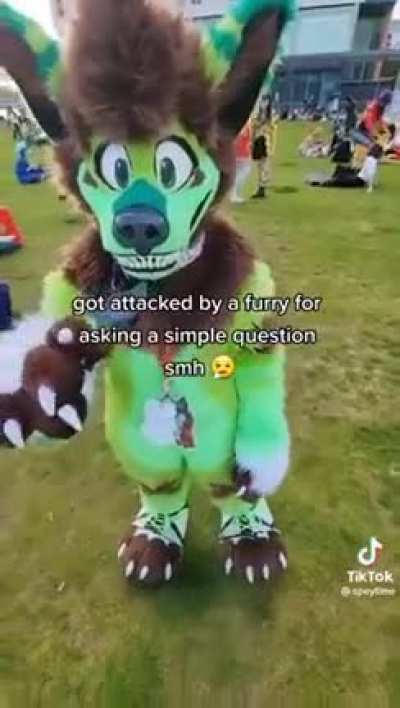 questions to furry