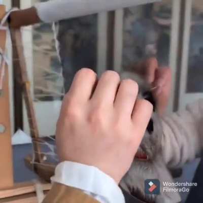 Embroidering animal pattern