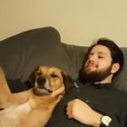 We are just gonna put that back right here