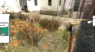 Someone made a goose that you download and it destroys your computer (by SamNChiet)