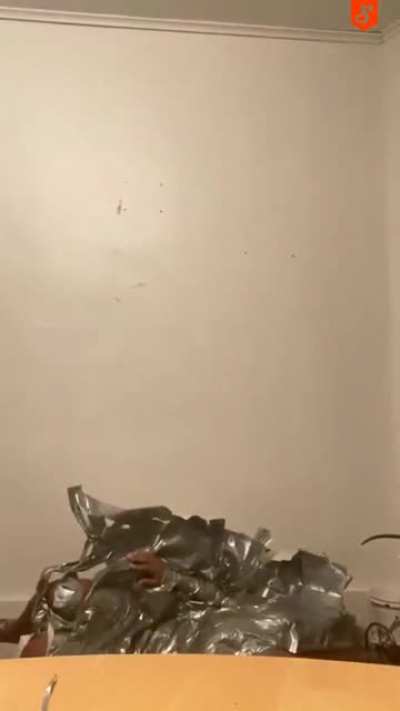 Watch &amp; Enjoy, It Is Really Funny.