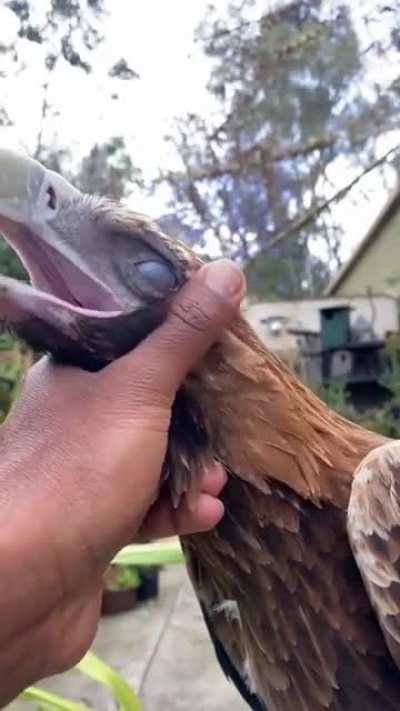 That's the spot!
