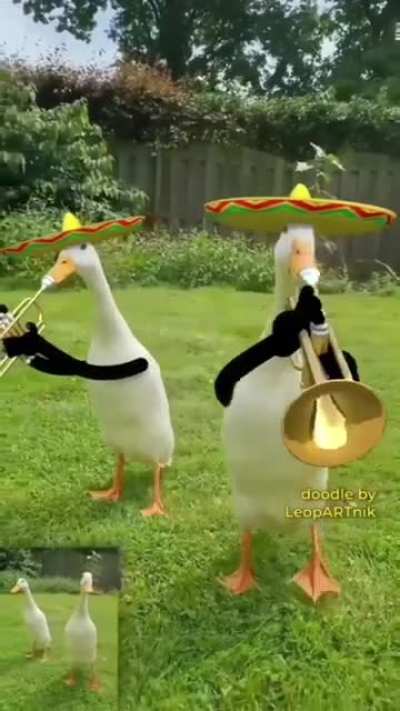 Let's party ?