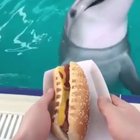 1 fish to go please