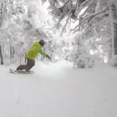 ? Slushing through a frozen forest's fresh snow (Sugar Mountain) ?