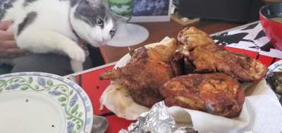 Trying to get that turkey on Thanksgiving ?