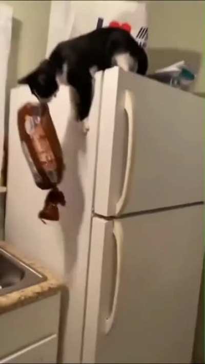 Thief