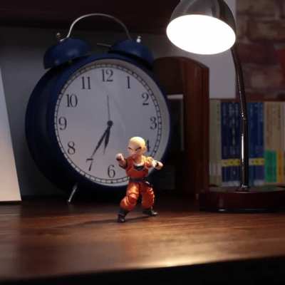24fps stop motion drunken shaolin style (credits animist)