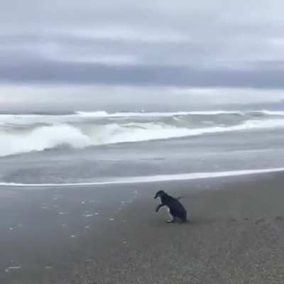 "Wait I am free? I'M FRREEEEEE!!!!"