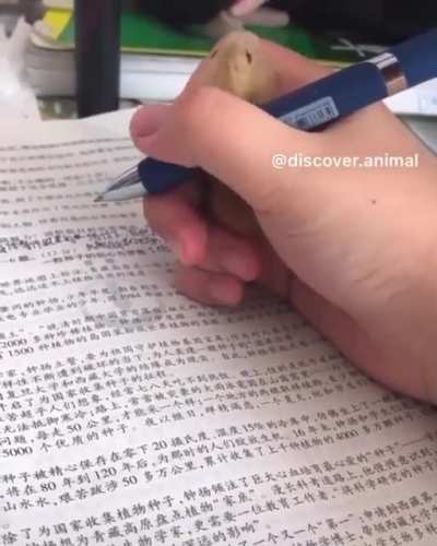 "I'll help out with your homework."