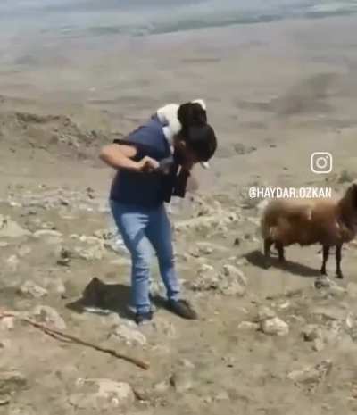 This man carries a newborn lamb for kilometers to lead it and its mother to safety after it was born in the mountains