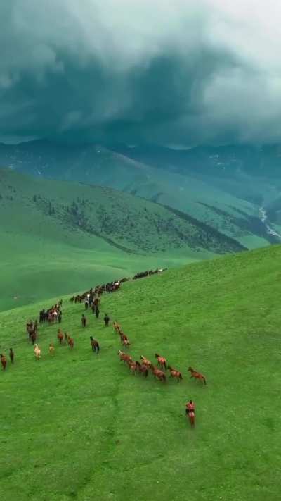 The pulse of life beats strongest in the heart of nature.