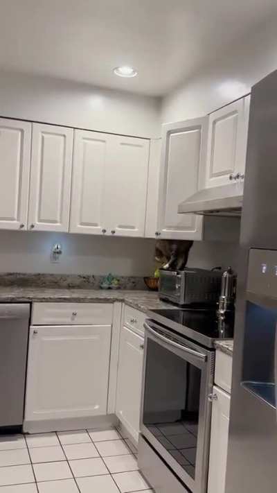 BUSTED