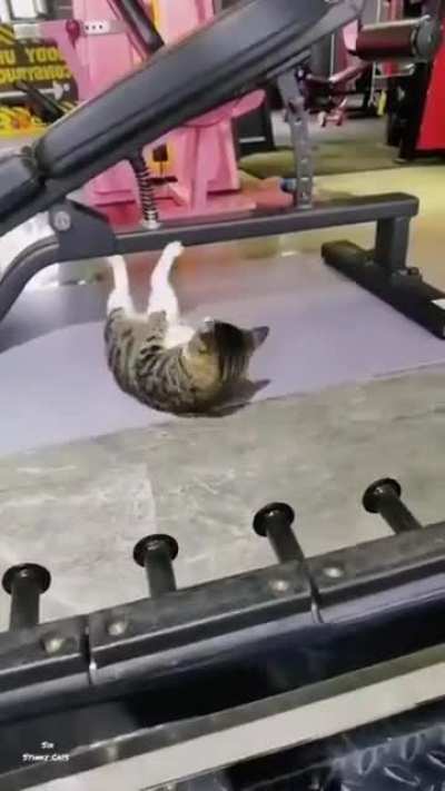 Just Joined a Gym.?