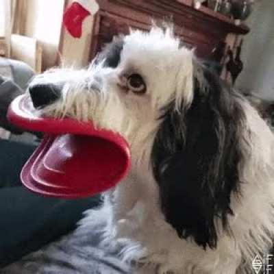 Frisbee