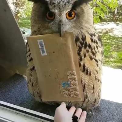 Delivering my Post