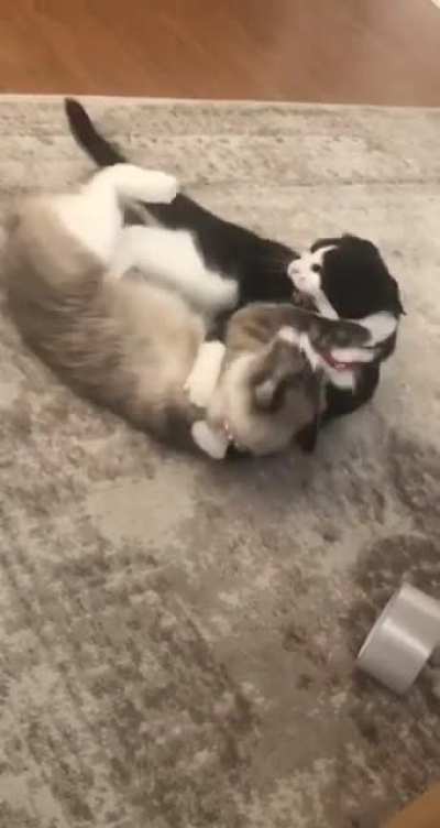 I thought you would all maybe appreciate this ?