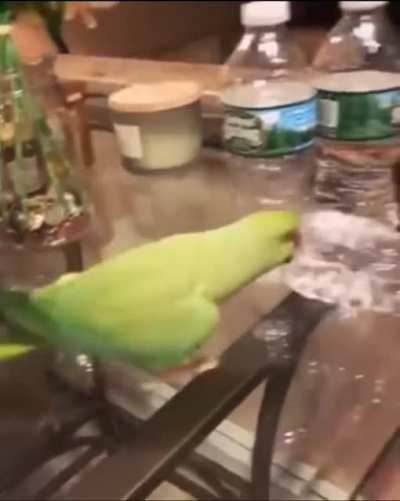 He feels very accomplished