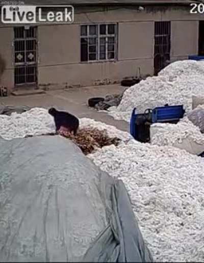the way cotton burns
