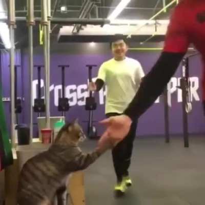 Gym bro