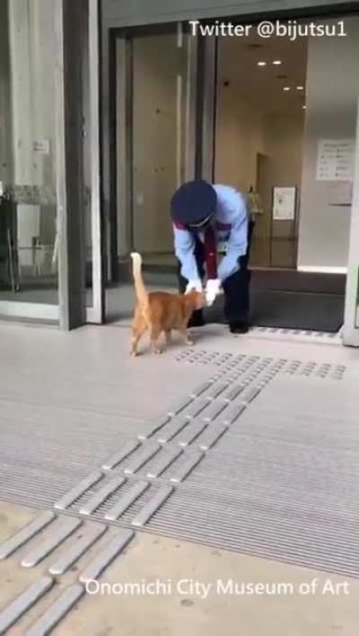 Two cats won't give up on trying to enter a Japanese art museum