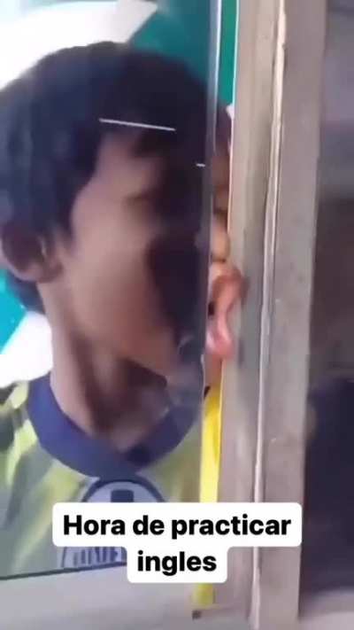 parrot