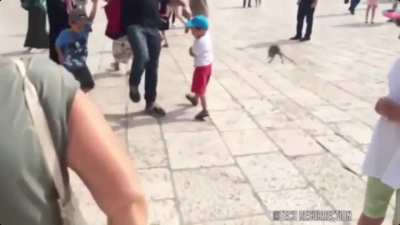 A rat taking a stroll around the town.