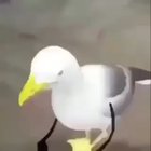 when you kill the ender dragon in minecraft