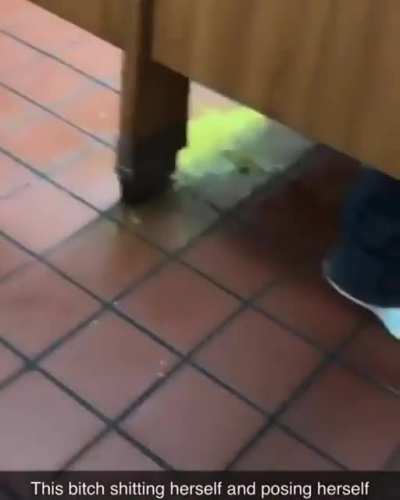 Might’ve missed the toilet