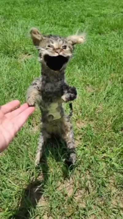 ? ?