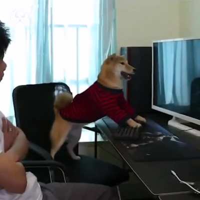 "yesyesyesyes WTF BRIAN!"