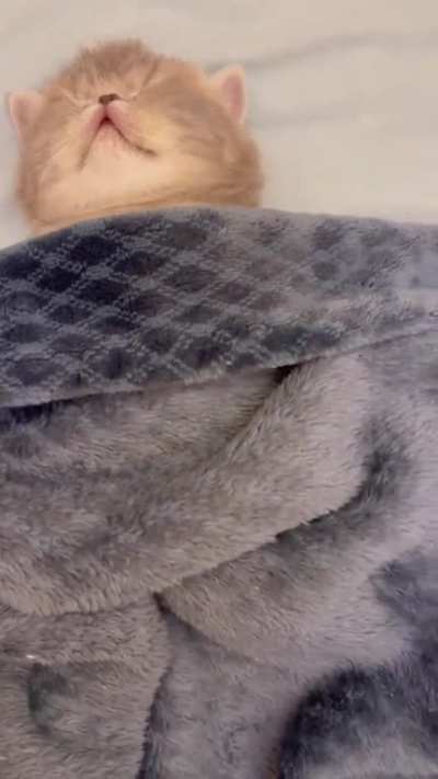 Let the little fella sleep